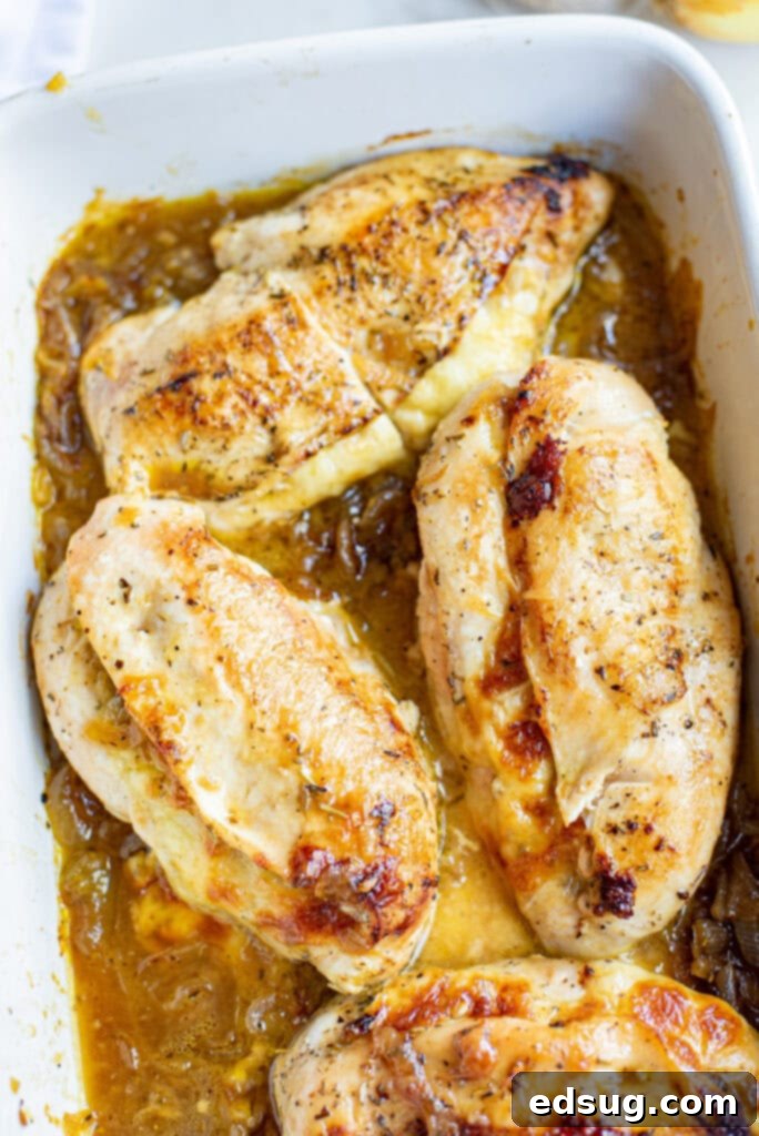 Creamy French Onion Chicken 2 french onion chicken bake in casserole dish