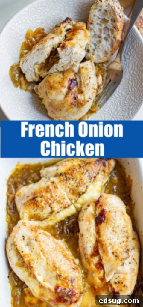 Creamy French Onion Chicken 7 close up french onion chicken