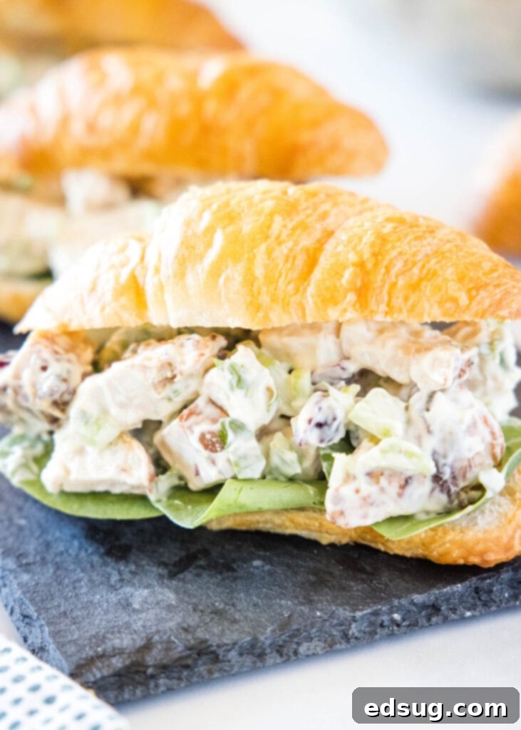 croissant with turkey salad on a tray