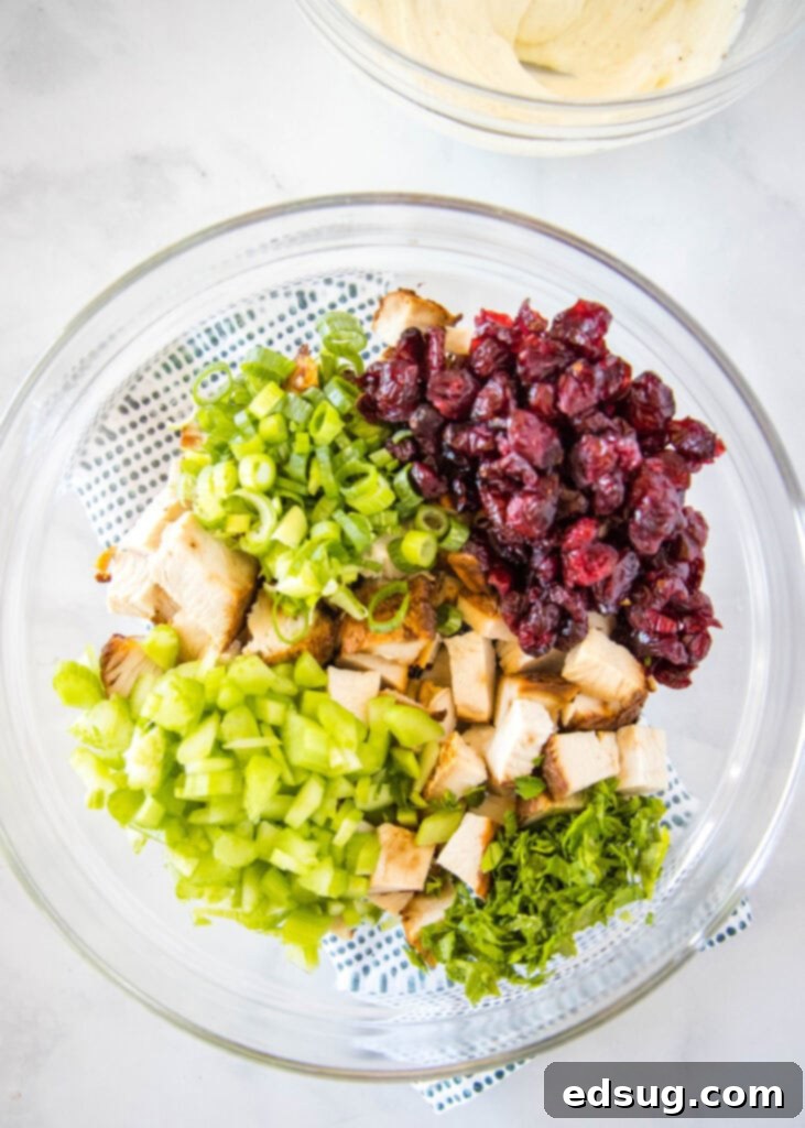 turkey, celery, onions, parsley and dried cranberries in a bowl
