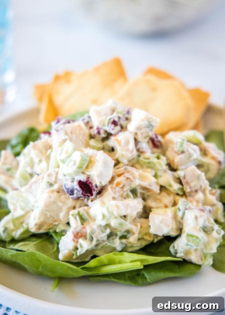 turkey salad on a bed of lettuce