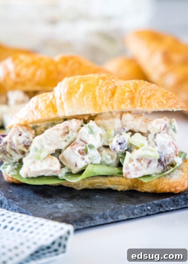 turkey salad on a croissant