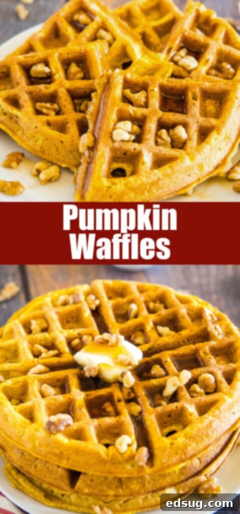Spiced Pumpkin Waffles 6 Close-up of a golden pumpkin waffle generously topped with chopped walnuts, showcasing its texture and deliciousness.