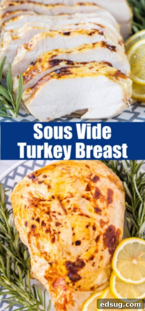 Juicy Sous Vide Turkey Perfection 7 sous vide turkey breast sliced