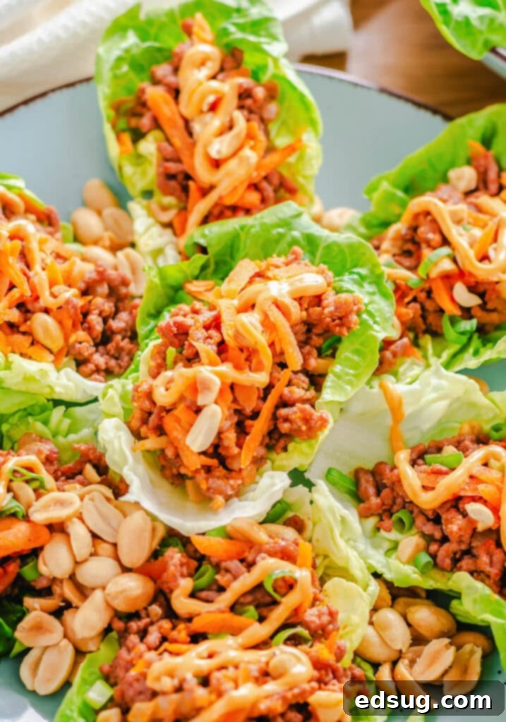 Zesty Beef Lettuce Wraps 2 A vibrant plate of spiced ground beef lettuce wraps, showcasing the flavorful filling in crisp romaine leaves, ready for a quick and healthy meal.