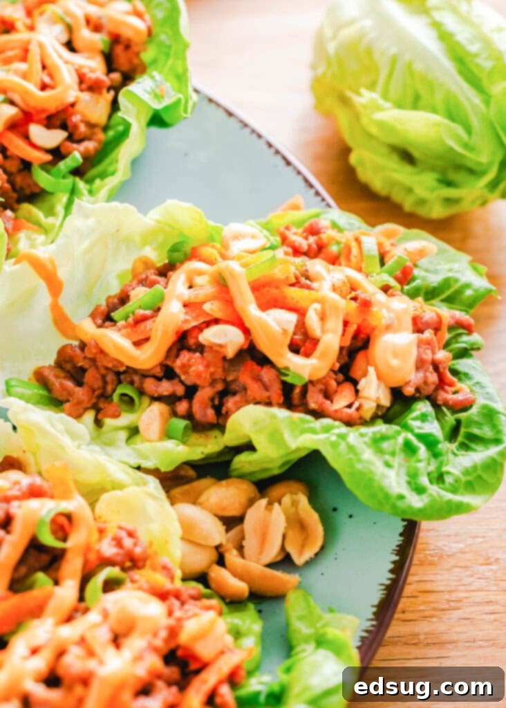 Zesty Beef Lettuce Wraps 5 A vibrant blue plate holds several perfectly assembled ground beef lettuce wraps, showcasing their appetizing and easy-to-eat nature.