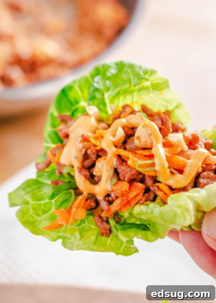 Zesty Beef Lettuce Wraps 6 A close-up shot of a hand holding a single, perfectly filled spiced beef lettuce wrap, ready for a delicious bite.