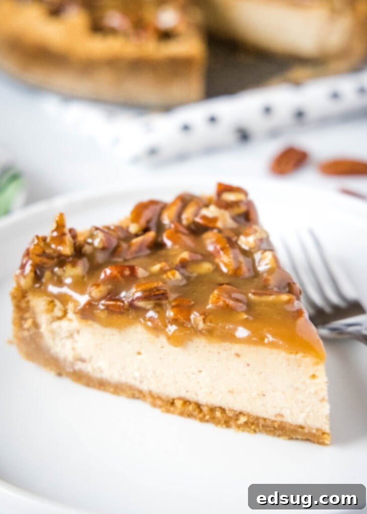 A perfectly sliced Pecan Pie Cheesecake on a white plate, showcasing its creamy filling and gooey pecan topping.