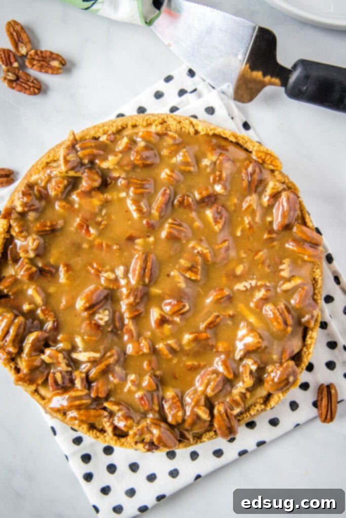An overhead shot of a whole Pecan Pie Cheesecake, showcasing the generous pecan topping.