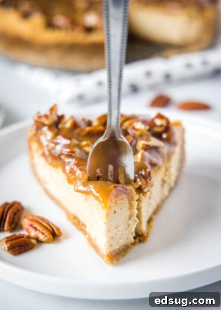 A fork piercing a slice of Pecan Pie Cheesecake, showing the layers and creamy texture.