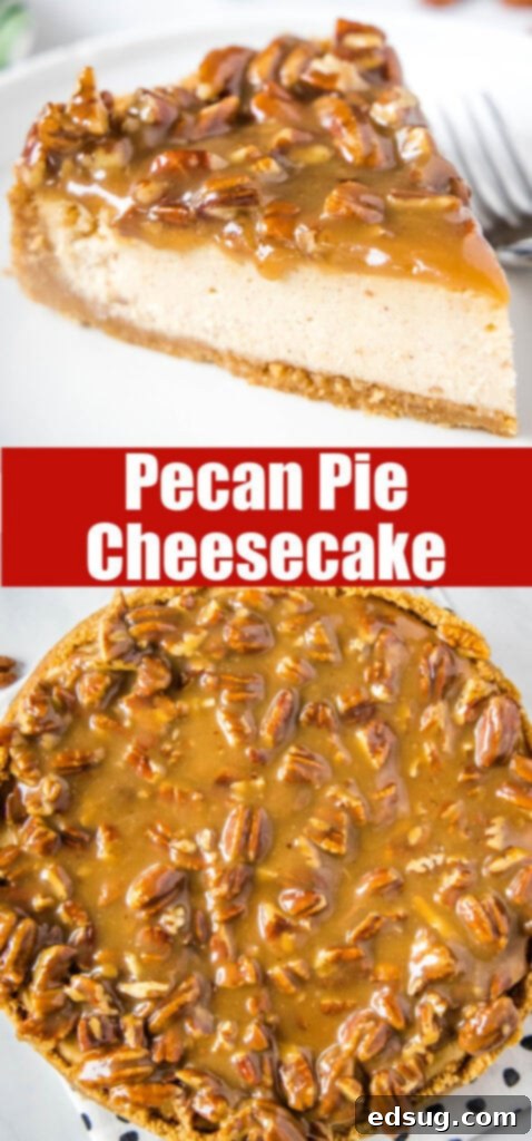 A close-up view of the rich, gooey pecan topping on a Pecan Pie Cheesecake.