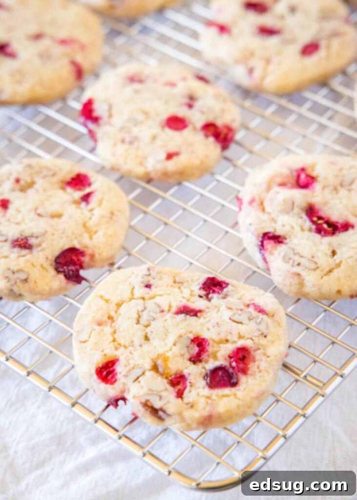 cranberry icebox cookies cooling on a wire rack, perfectly golden brown and ready to eat