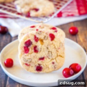 cropped in close up of cranberry icebox cookies
