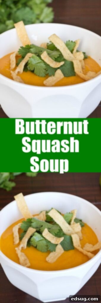 A vibrant, creamy curried butternut squash soup in a bowl, showcasing its rich texture and color, garnished with herbs.