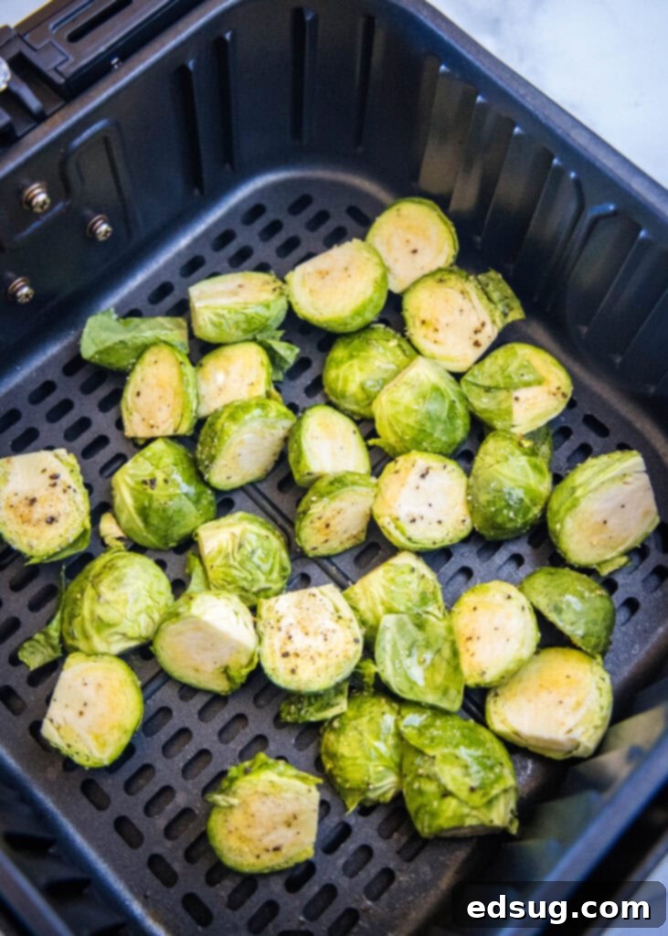 Golden Crispy Air Fryer Brussels Sprouts 4 Seasoned Brussels sprouts arranged in a single layer within an air fryer basket