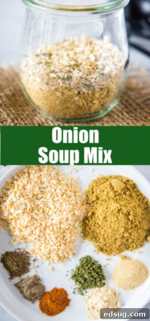 Homemade Onion Soup Mix 6 close up onion soup mix for pinterest