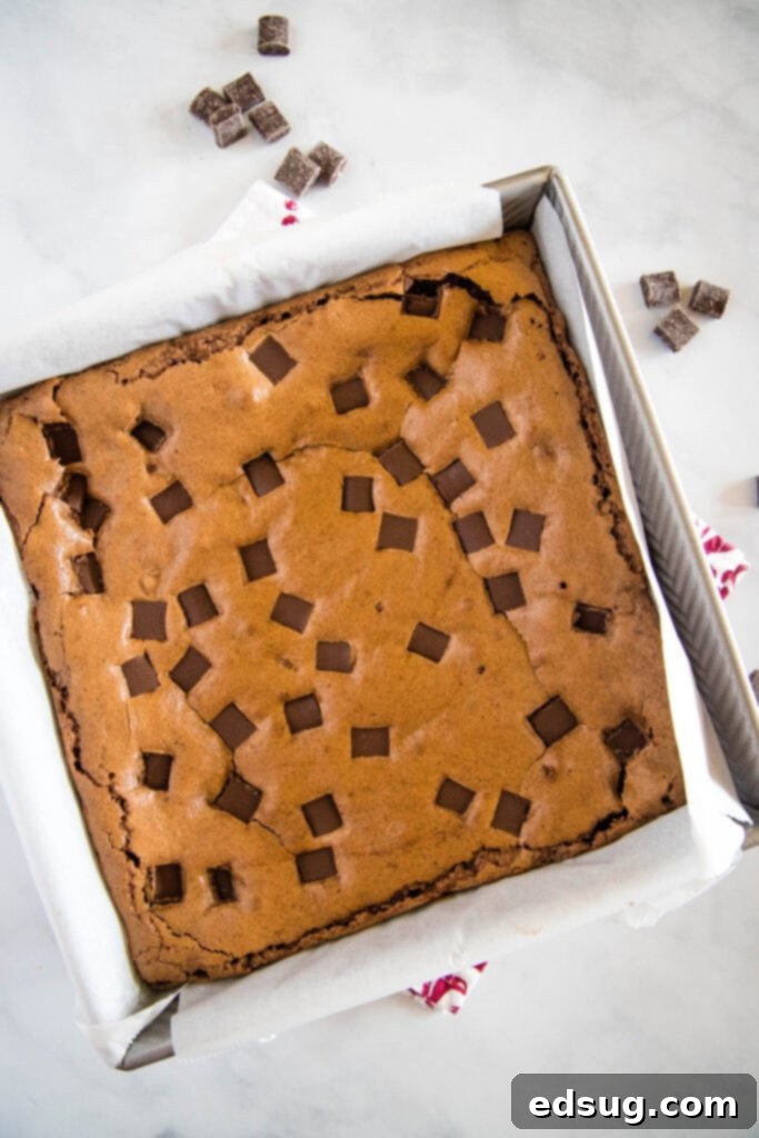 baked brownies in baking pan
