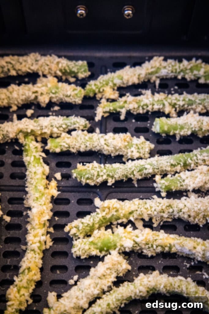 Breaded green beans arranged in an air fryer basket, ready for cooking
