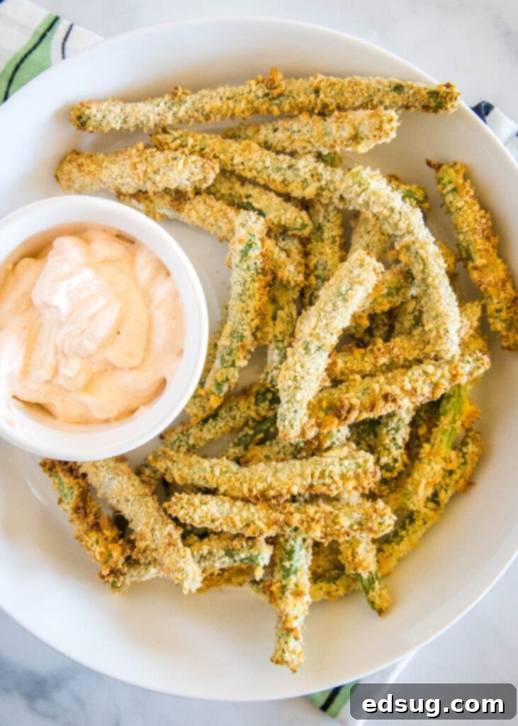 A plate of air fryer green bean fries seen from above, ready to be served