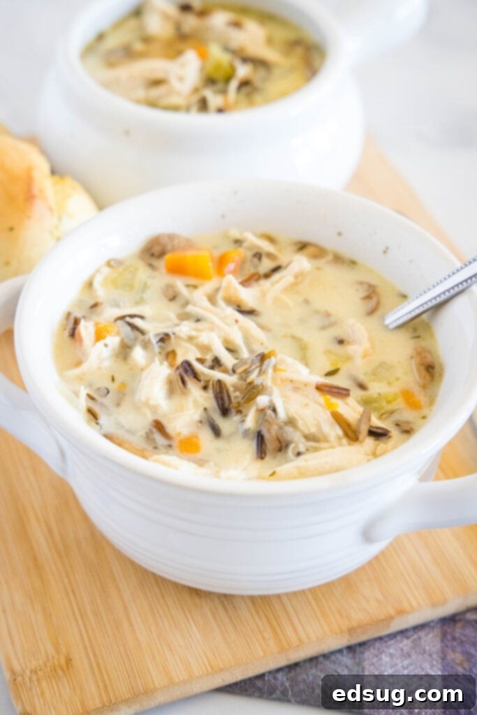 Hearty Instant Pot Chicken Wild Rice Soup 6 A single bowl of Instant Pot Chicken Wild Rice Soup with a spoon, garnished with fresh parsley