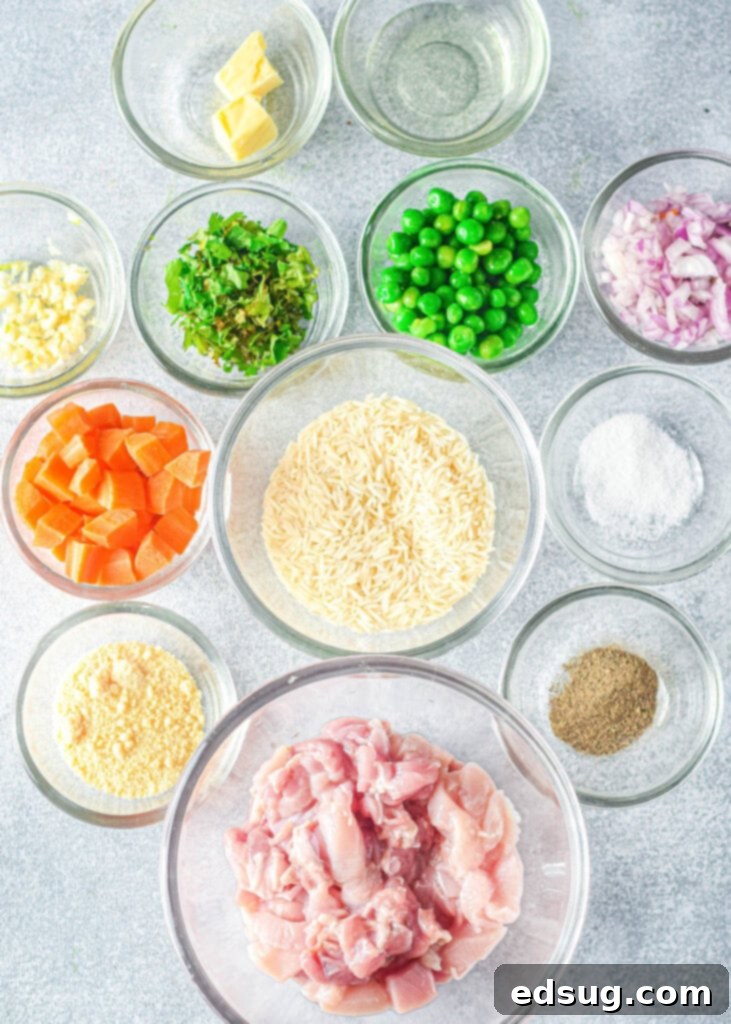 Fresh ingredients for Instant Pot chicken and rice, including chicken, rice, vegetables, and seasonings, neatly arranged on a counter.