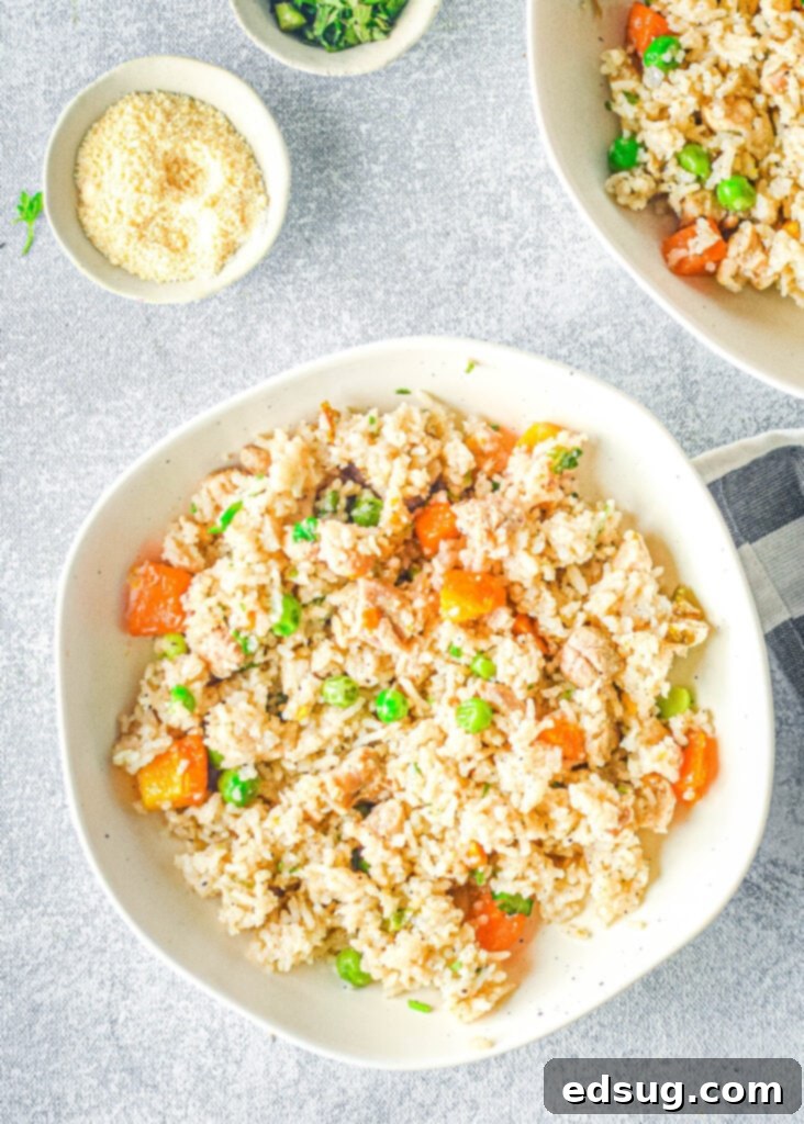 A top-down view of a creamy bowl of Instant Pot chicken and rice, showcasing its rich texture and appetizing appeal.
