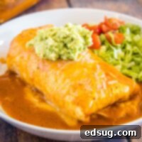 cropped in close up of wet burrito on a white plate