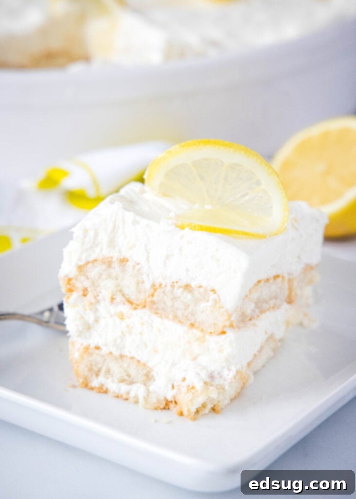 Zesty Lemon Tiramisu 2 slice of lemon tiramisu on a white plate