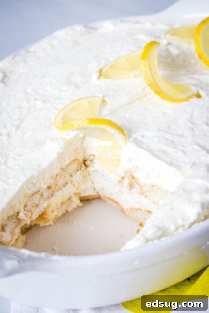 Zesty Lemon Tiramisu 3 limoncello tiramisu in a baking dish with a piece cut out