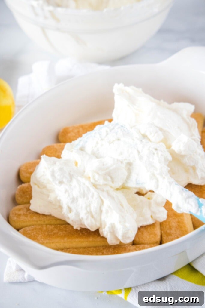Zesty Lemon Tiramisu 4 spreading cream over lady finger layer