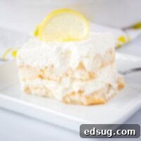 cropped image of lemon tiramisu