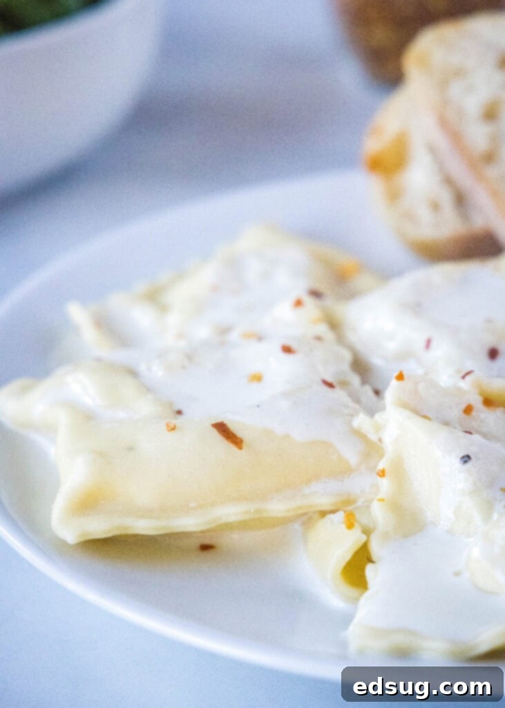 Handcrafted Ravioli Delights 2 homemade ravioli with roasted garlic cream sauce on a white plate, garnished with fresh herbs