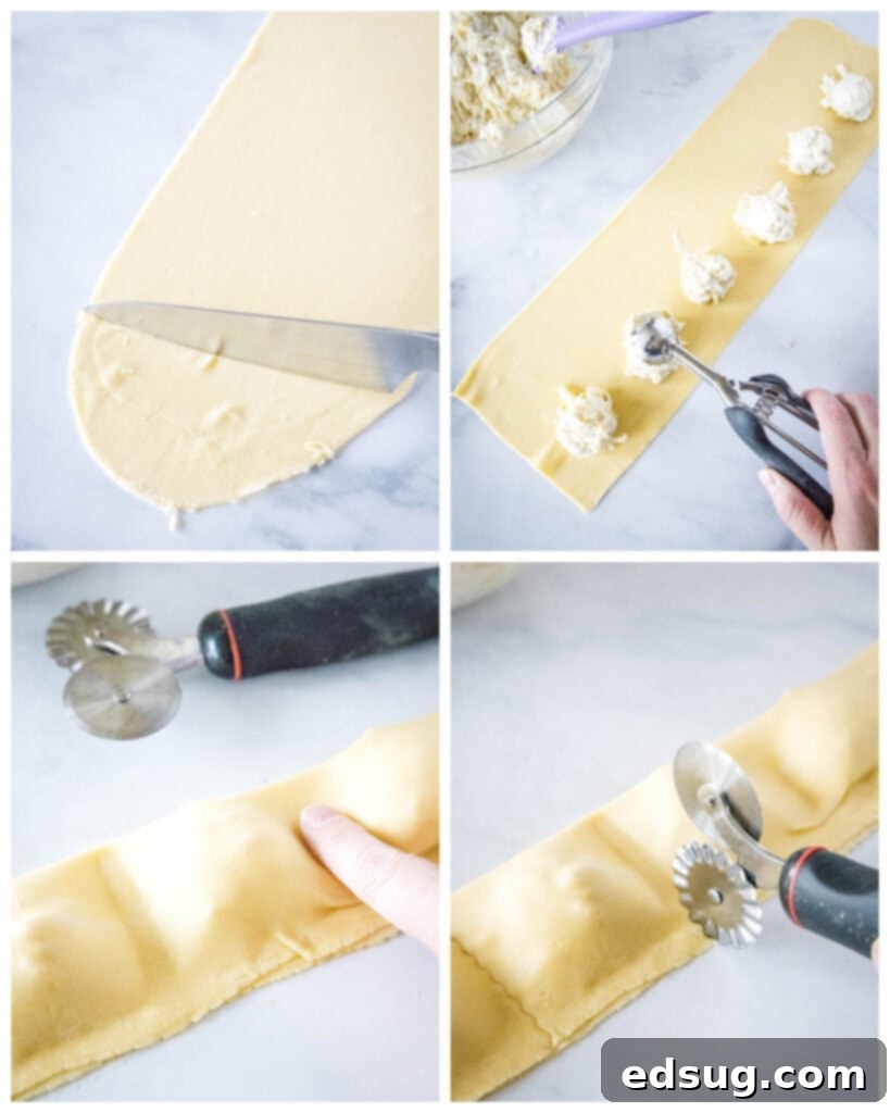Handcrafted Ravioli Delights 6 images demonstrating how to make homemade ravioli step-by-step