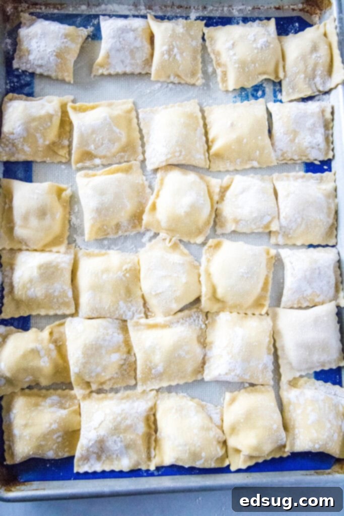 Handcrafted Ravioli Delights 7 homemade ravioli arranged on a baking sheet, ready for cooking or freezing
