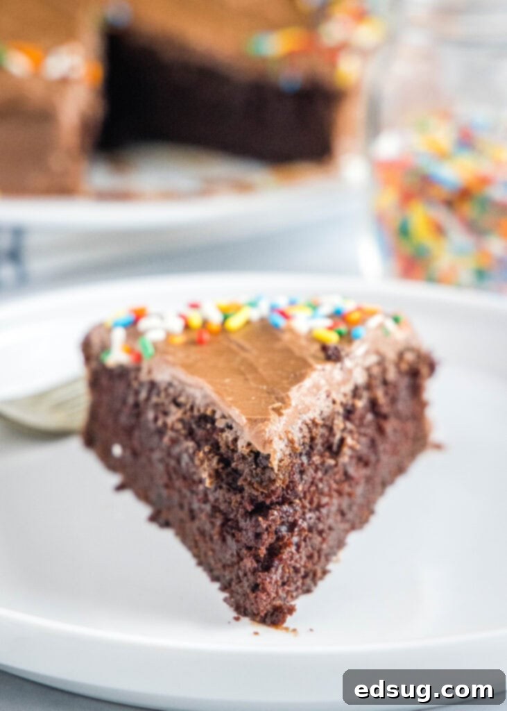 A perfectly baked slice of air fryer chocolate cake on a white plate, showcasing its moist texture.