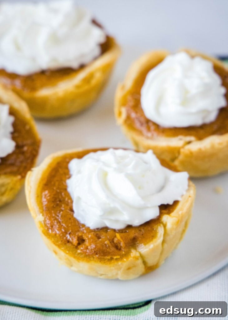 A serving plate with a golden mini pumpkin pie topped generously with fluffy whipped cream, ready to be enjoyed.