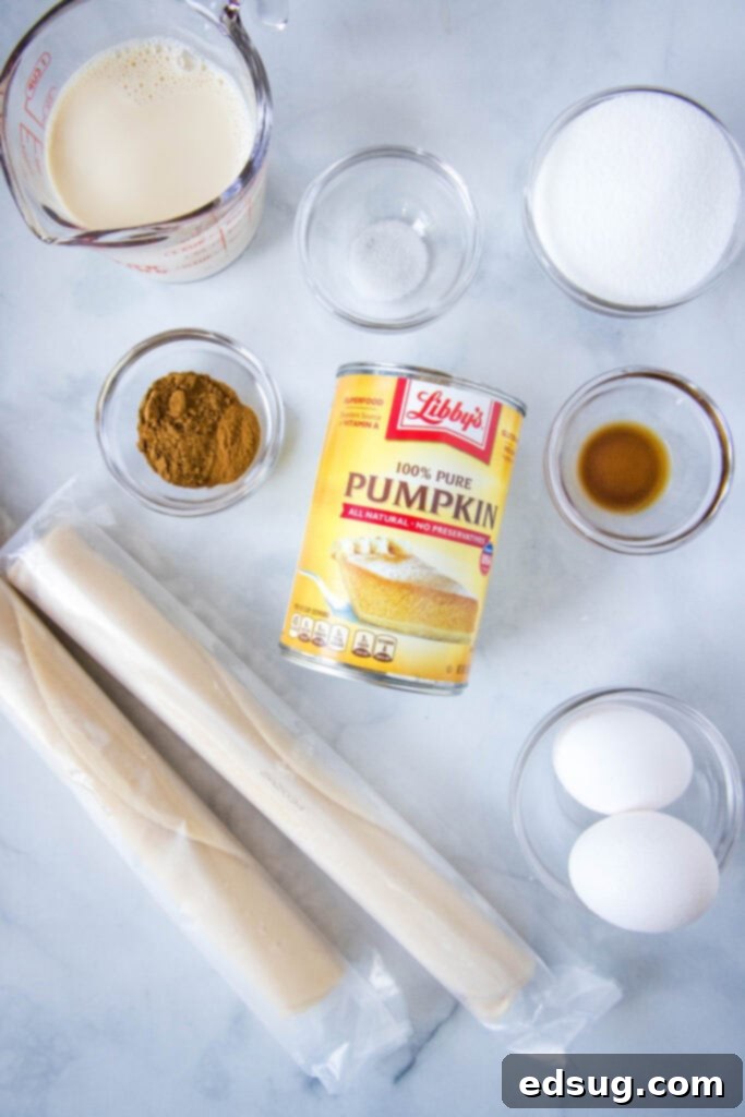 A collection of fresh ingredients laid out, including canned pumpkin puree, eggs, vanilla, sugar, and spices, for making mini pumpkin pies.
