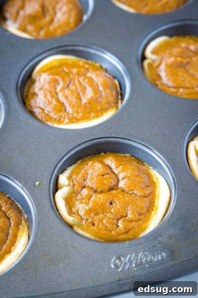 Freshly baked mini pumpkin pies still in the muffin tin, with golden crusts and slightly cracked filling tops.