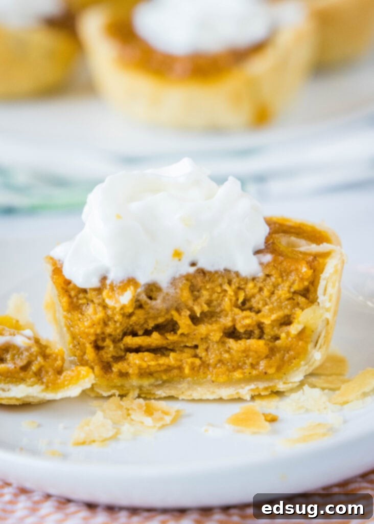 A perfectly baked mini pumpkin pie, cut in half to reveal its smooth, orange filling and flaky crust, resting on a white plate.