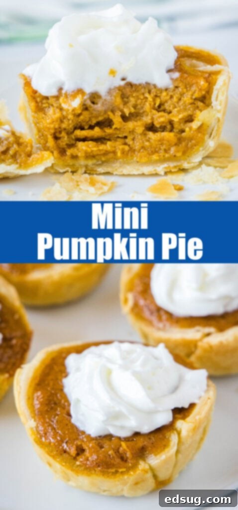 A close-up collage of individual mini pumpkin pies, showcasing their golden crusts and creamy filling with whipped cream.
