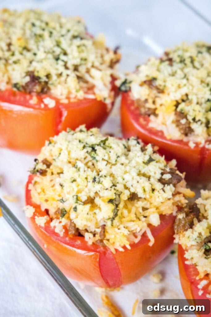 looking down on baking tray with stuffed tomatoes