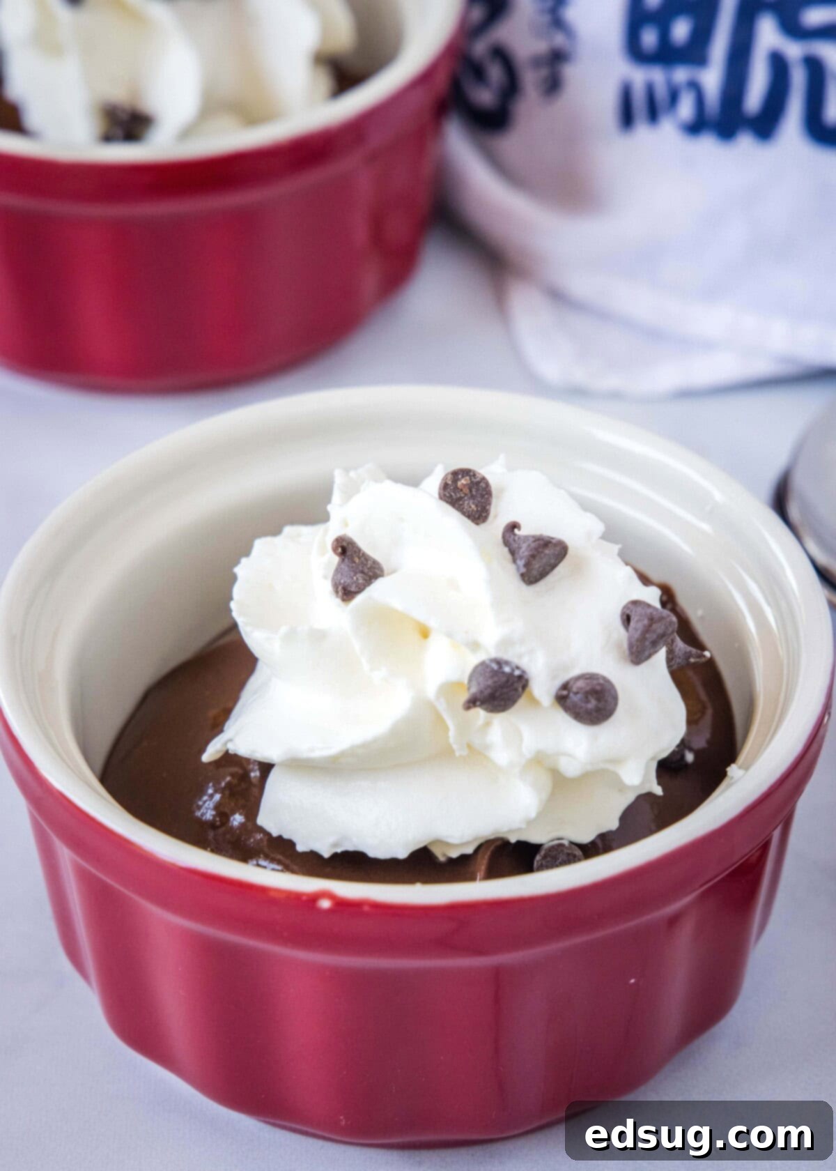 Silky Chocolate Tofu Mousse 2 chocolate tofu pudding in a red bowl