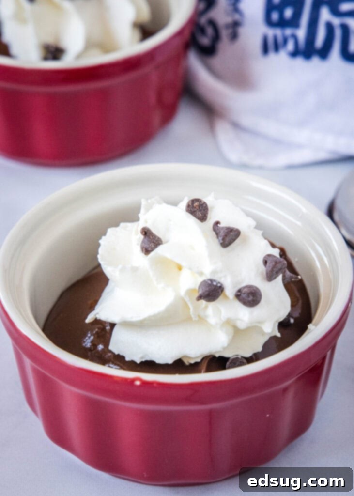 Silky Chocolate Tofu Mousse 4 chocolate tofu pudding in a red bowl