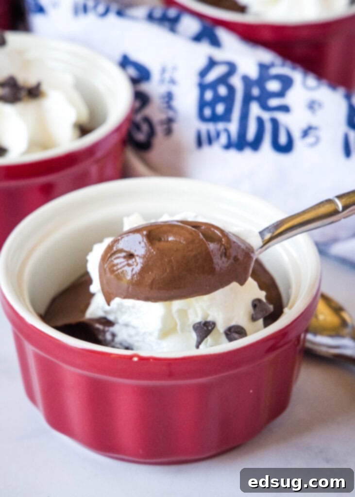 Silky Chocolate Tofu Mousse 5 spoonful of chocolate pudding