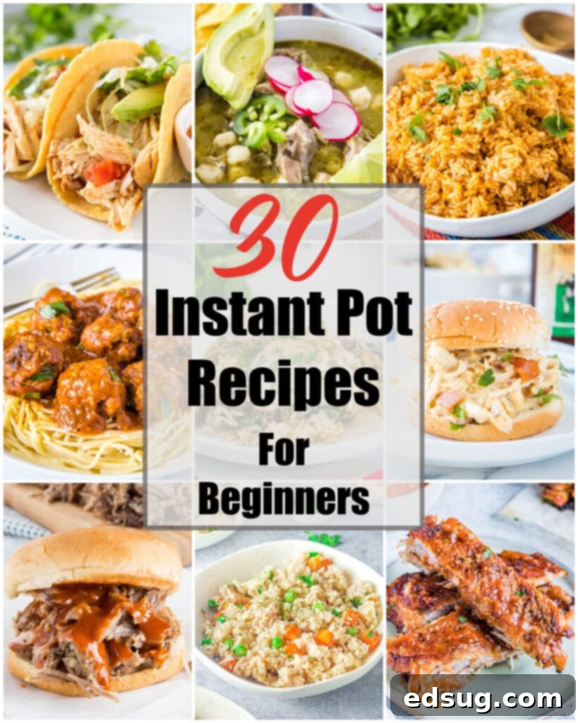 collage of instant pot recipes for beginners