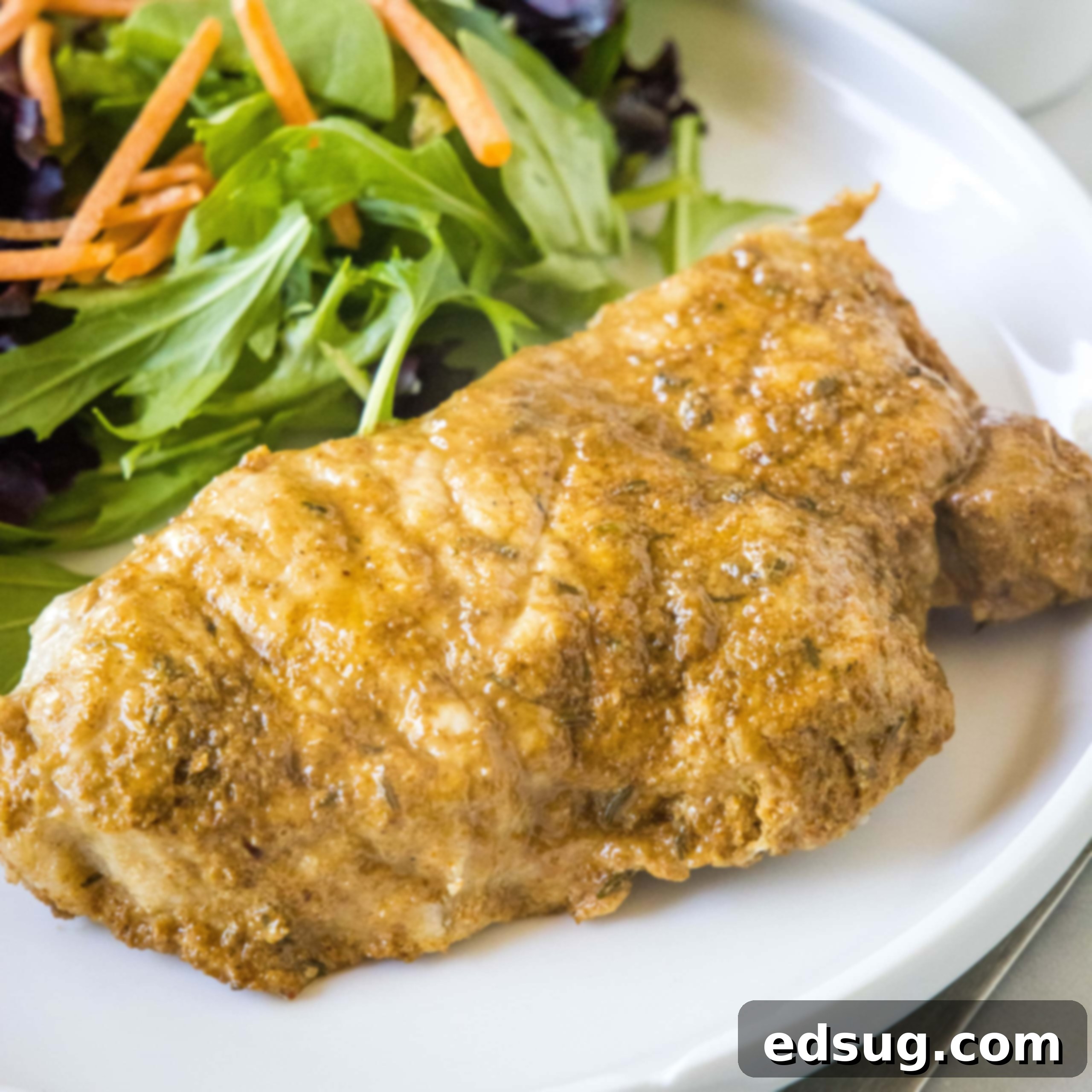 An instant pot pork chop with a side of salad on a white plate.
