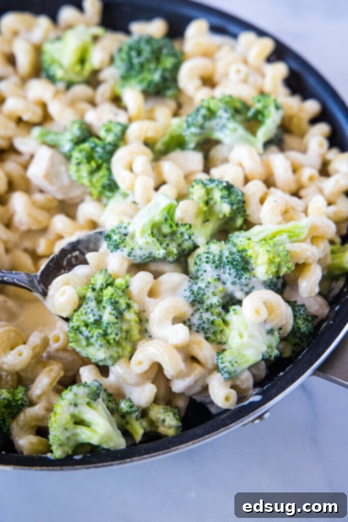 skillet with chicken broccoli alfredo