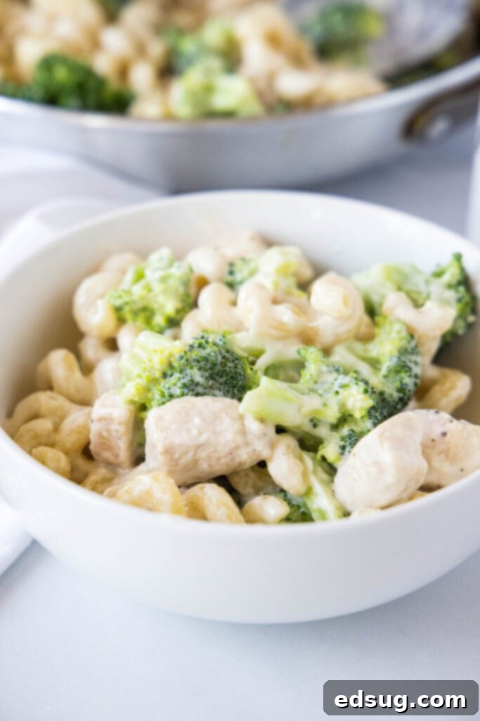 white bowl of chicken broccoli aflredo