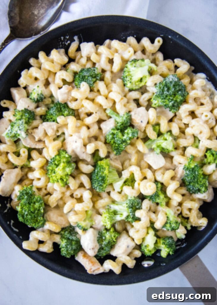 skillet with alredo pasta with chicken and broccoli