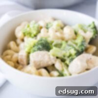 bowl of chicken broccoli alfredo close up